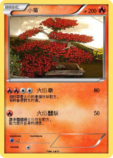 Pokemon 小菊