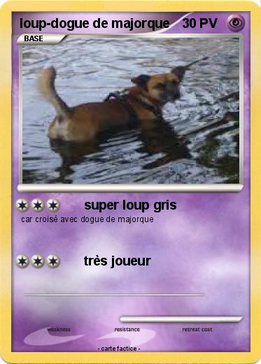 Pokemon loup-dogue de majorque