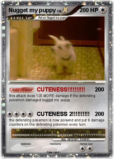 Pokemon Nugget my puppy