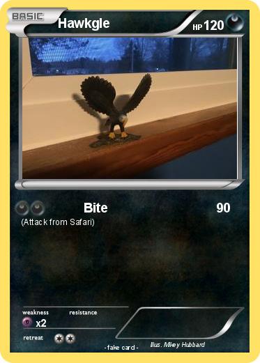 Pokemon Hawkgle