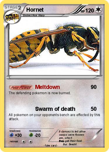 Pokemon Hornet