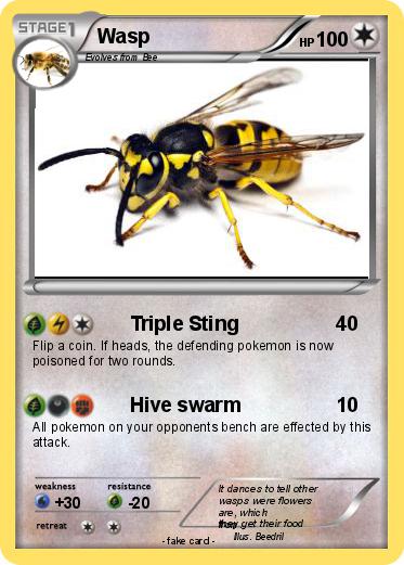 Pokemon Wasp