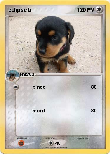 Pokemon eclipse b