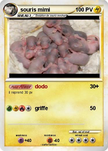 Pokemon souris mimi