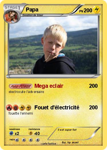 Pokemon Papa