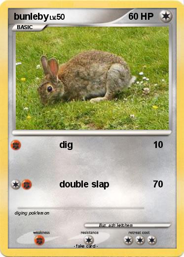 Pokemon bunleby