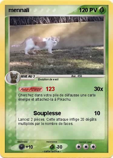 Pokemon mennali