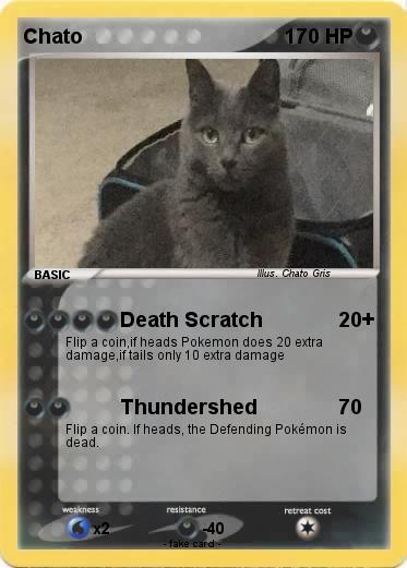 Pokemon Chato