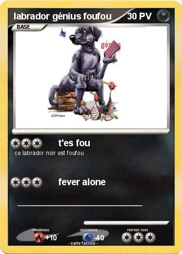 Pokemon labrador génius foufou