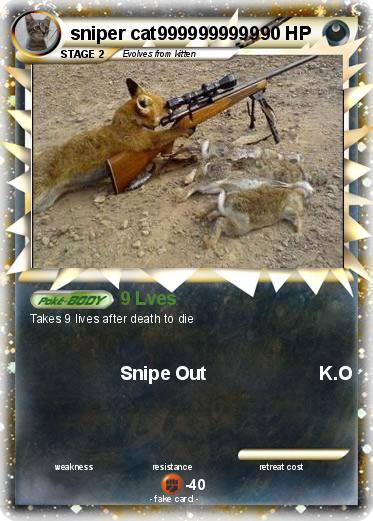 Pokemon sniper cat9999999999