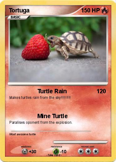 Pokemon Tortuga