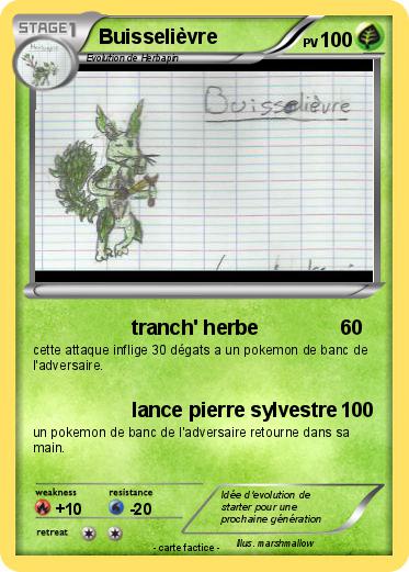 Pokemon Buisselièvre