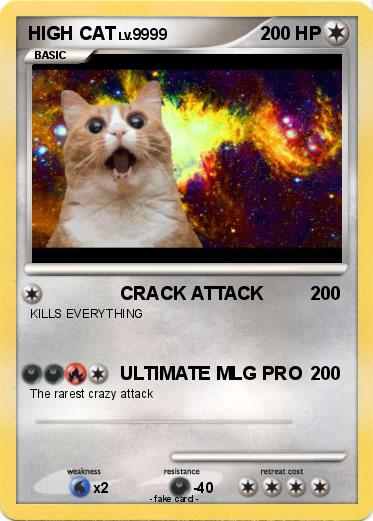 Pokemon HIGH CAT