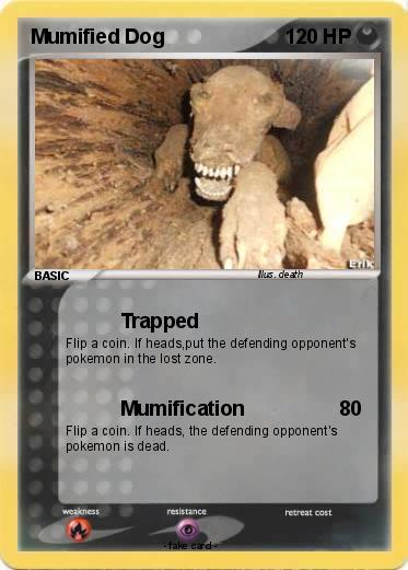 Pokemon Mumified Dog
