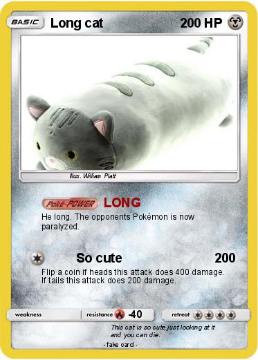 Pokemon Long cat