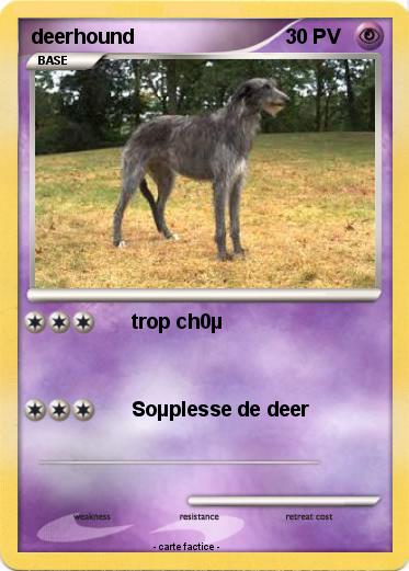 Pokemon deerhound
