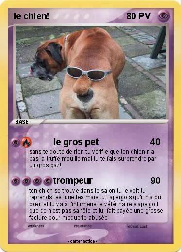 Pokemon le chien!