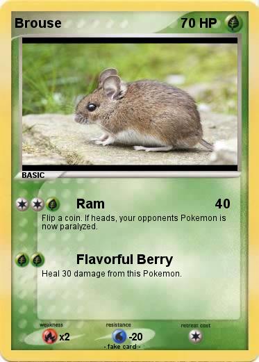 Pokemon Brouse