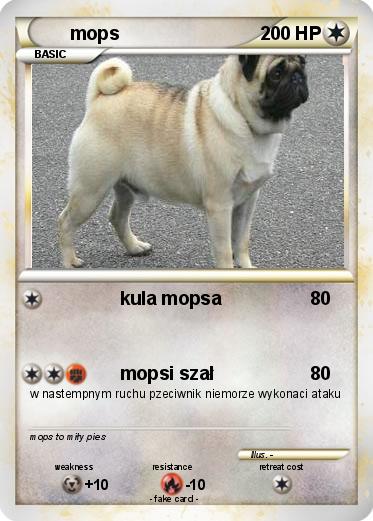 Pokemon mops