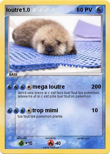 Pokemon loutre1.0