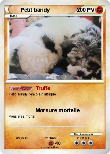 Pokemon Petit bandy
