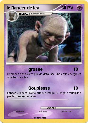 Pokemon le fiancer de lea
