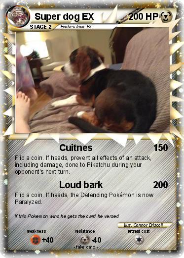 Pokemon Super dog EX