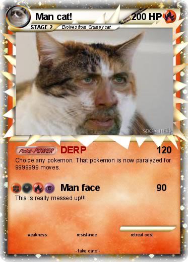 Pokemon Man cat!