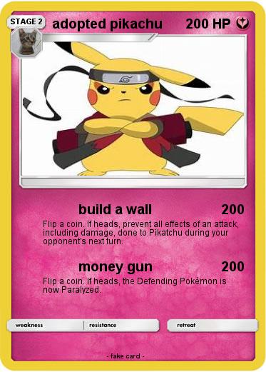 Pokemon adopted pikachu