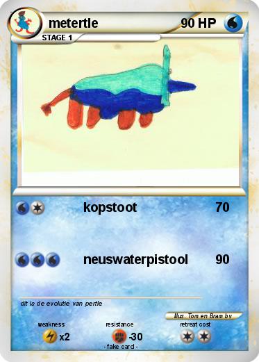 Pokemon metertle