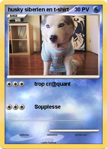 Pokemon husky siberien en t-shirt