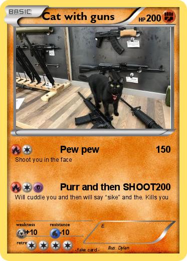Pokemon Cat with guns