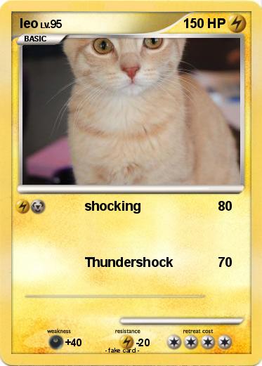 Pokemon leo