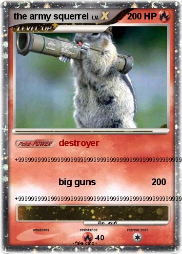 Pokemon the army squerrel