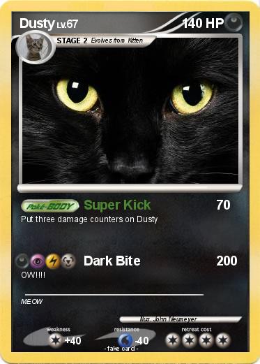 Pokemon Dusty