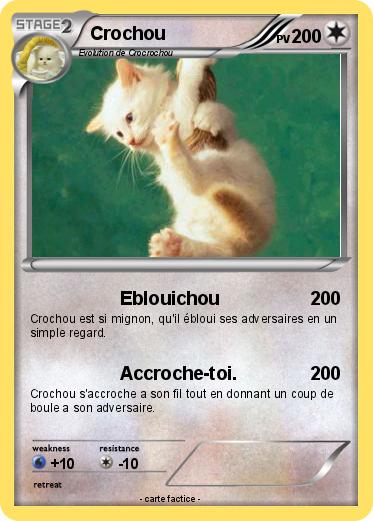 Pokemon Crochou