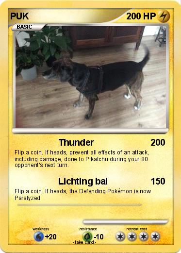 Pokemon PUK