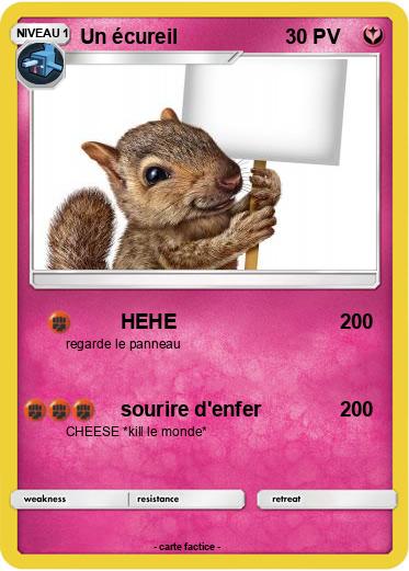 Pokemon Un écureil