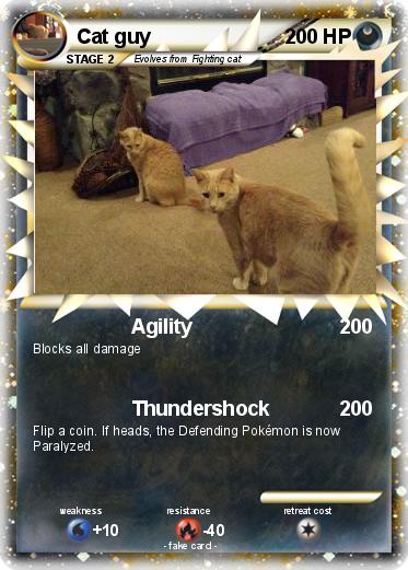 Pokemon Cat guy