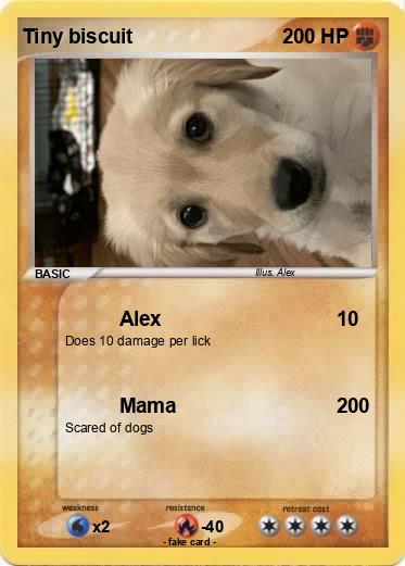 Pokemon Tiny biscuit