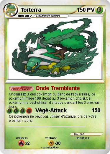 Pokemon Torterra