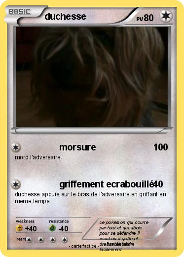 Pokemon duchesse
