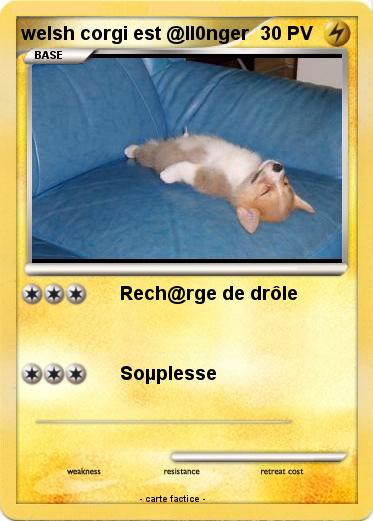 Pokemon welsh corgi est @ll0nger