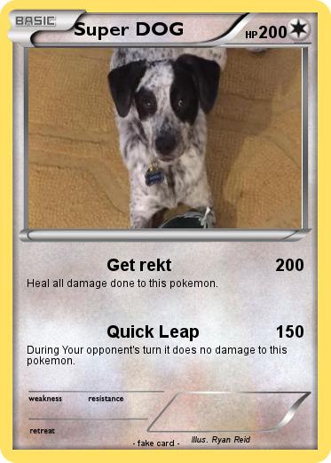 Pokemon Super DOG