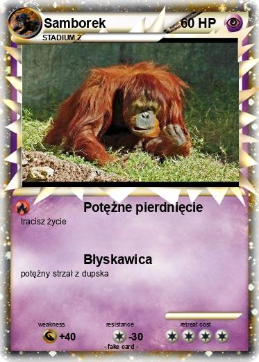 Pokemon Samborek