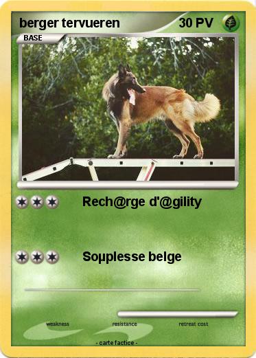 Pokemon berger tervueren