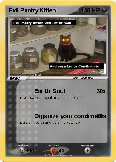 Pokemon Evil Pantry Kitteh