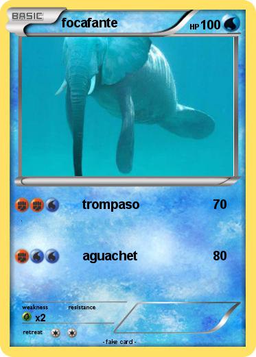 Pokemon focafante