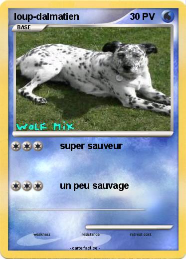 Pokemon loup-dalmatien