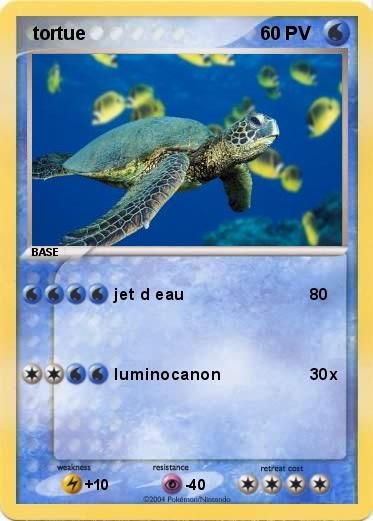 Pokemon  tortue